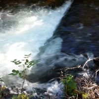 Grizzly Campground ico
