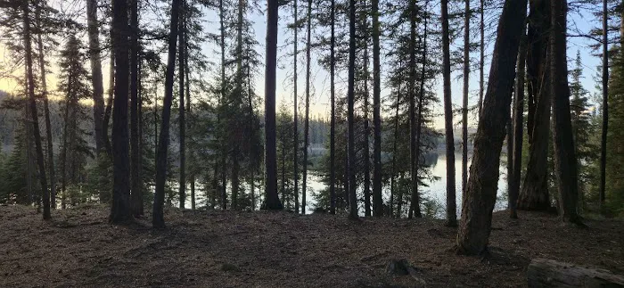 Rainy Lake Campground Picture 10