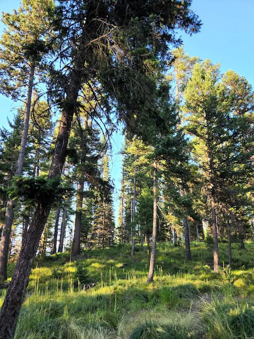 Rainy Lake Campground Picture 8