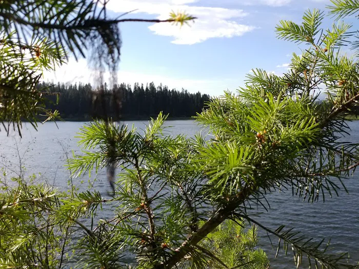 Rainy Lake Campground Picture 7