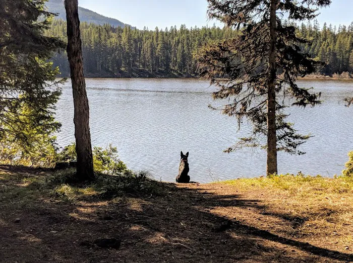 Rainy Lake Campground Picture 9