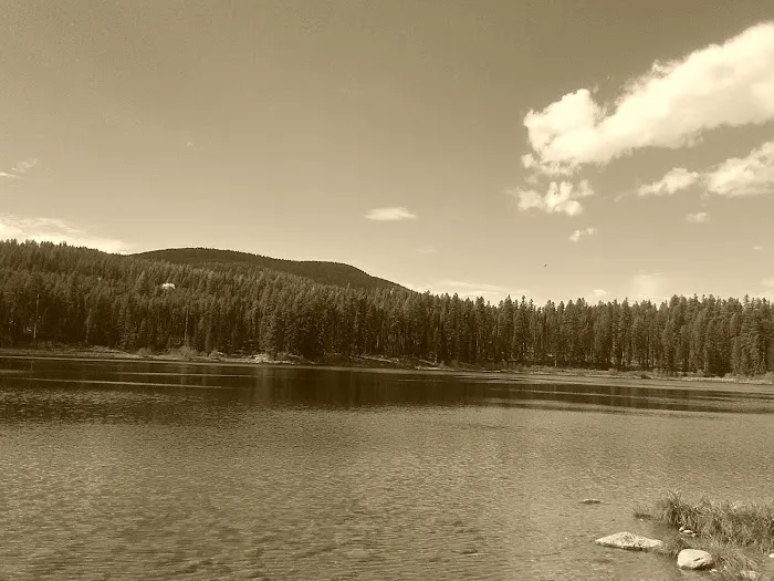 Rainy Lake Campground Picture 2