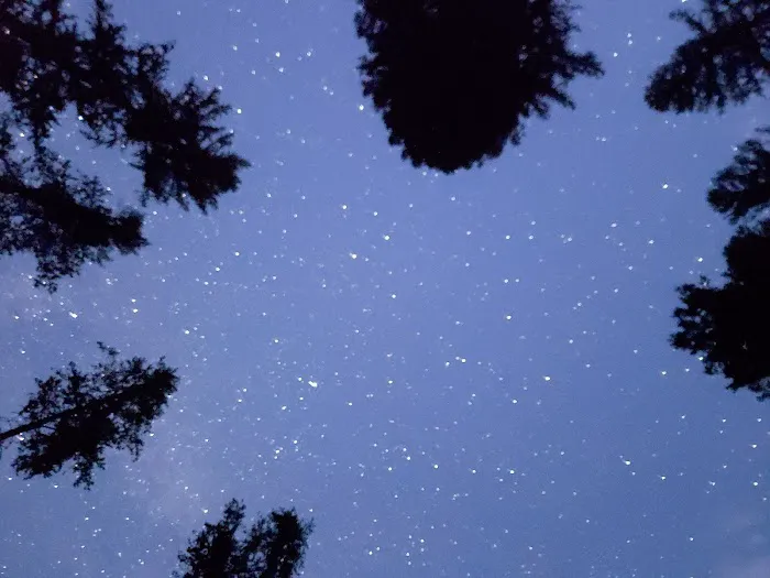 Rainy Lake Campground Picture 1