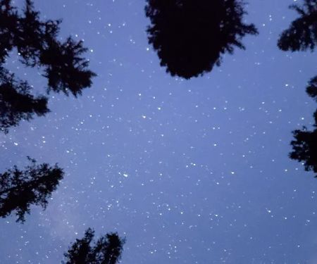Rainy Lake Campground