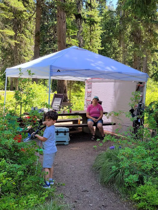 Lake Alva Campground Picture 5