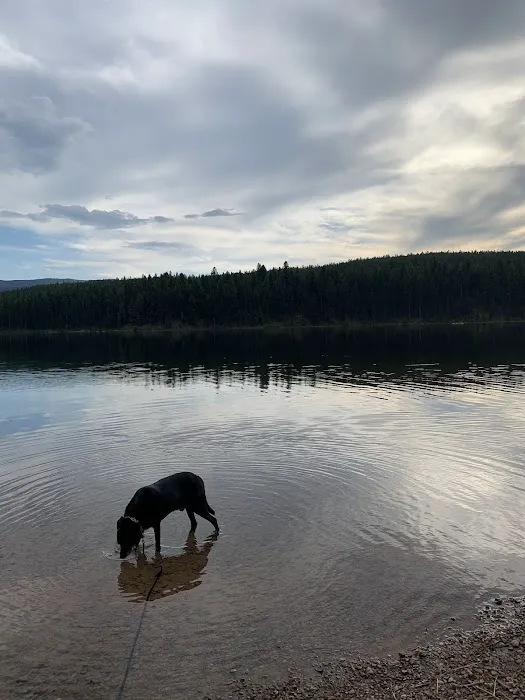 Lake Alva Campground Picture 8