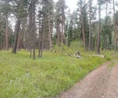 Siria Campground