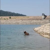 Bighorn Campground ico