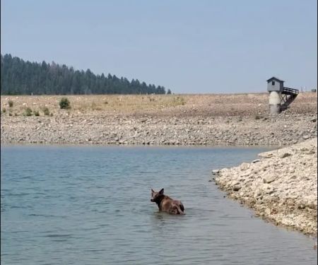Bighorn Campground