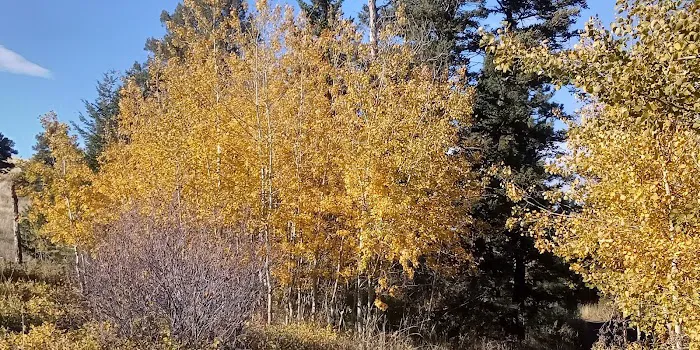 Crystal Creek Campground Picture 7