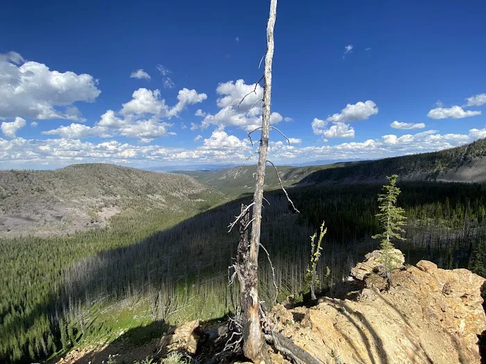 Crystal Creek Campground Picture 1