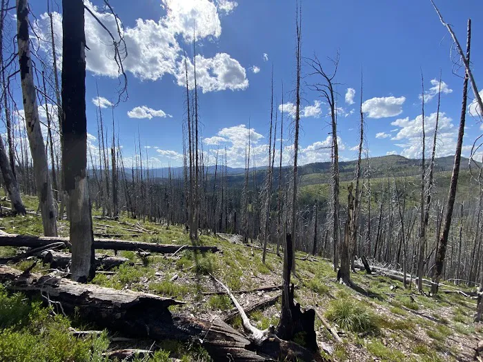 Crystal Creek Campground Picture 2