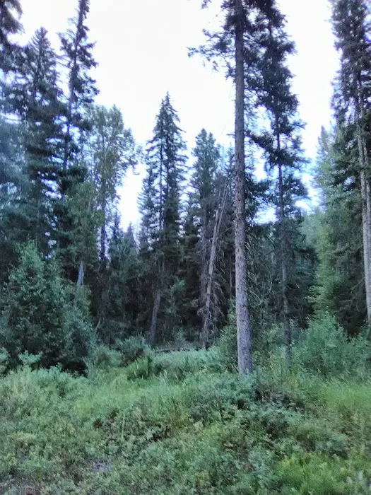 Stony Campground Picture 10