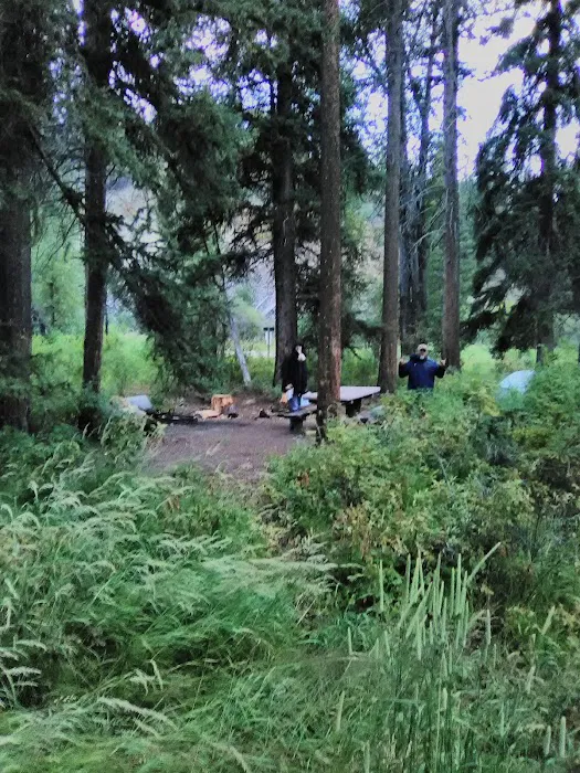 Stony Campground Picture 8