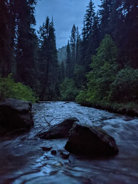 Black Bear Campground Picture 3