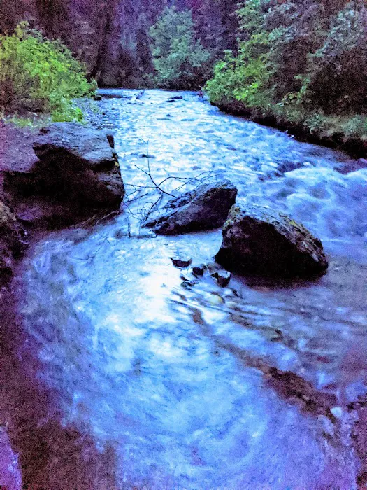 Black Bear Campground Picture 4