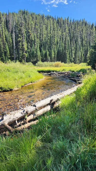 Red River Campground Picture 2