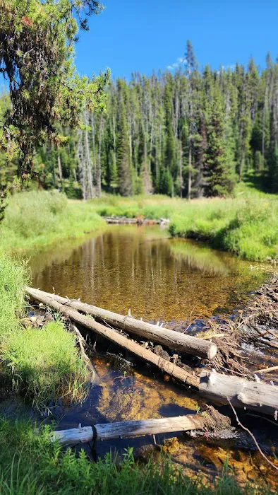 Red River Campground Picture 7