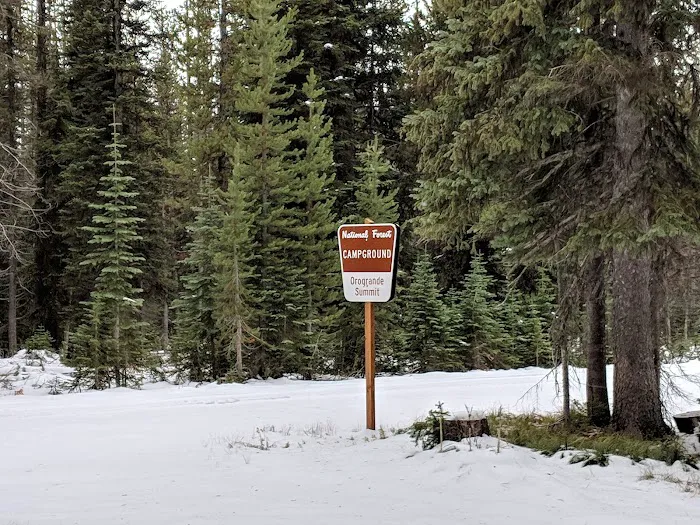 Orogrande Summit Campground Picture 8
