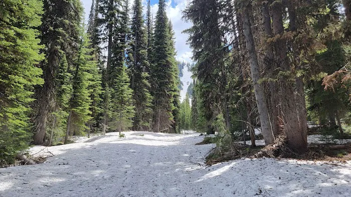 Orogrande Summit Campground Picture 5