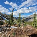Orogrande Summit Campground