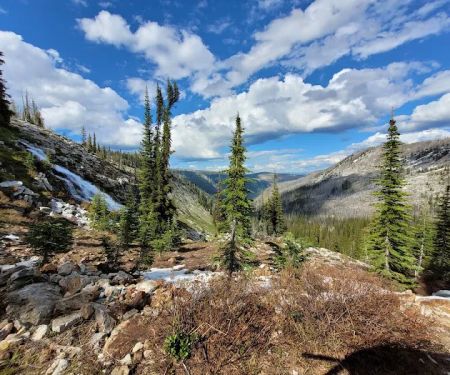 Orogrande Summit Campground
