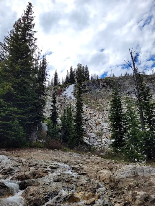 Orogrande Summit Campground Picture 6