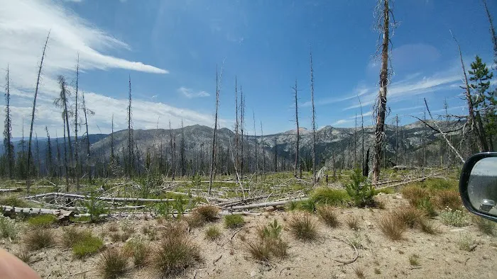 Orogrande Summit Campground Picture 4