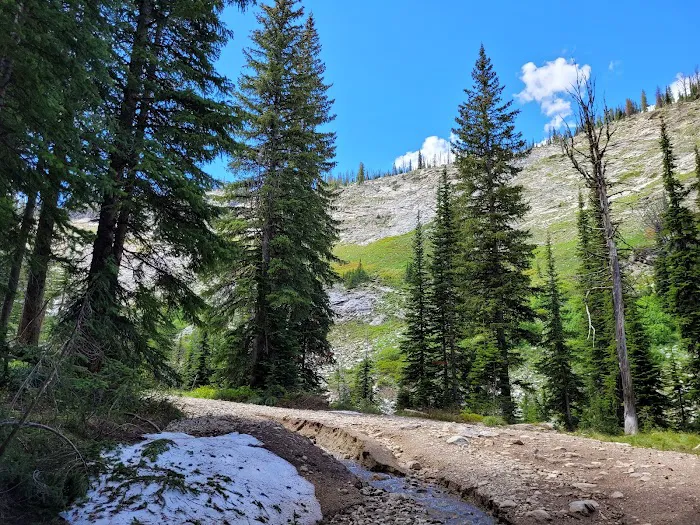 Orogrande Summit Campground Picture 7