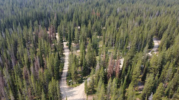 Wildhorse Lake Campground Picture 4