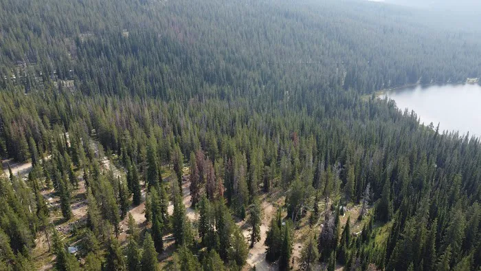 Wildhorse Lake Campground Picture 10