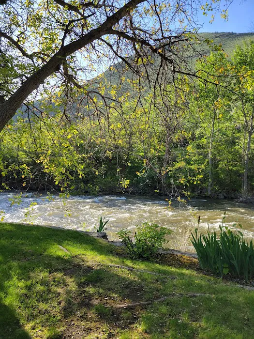 Riverside RV Park Picture 8