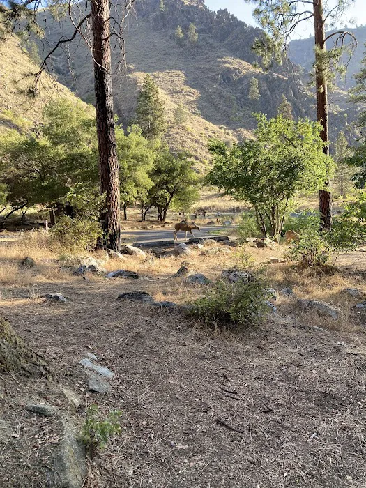 Spring Bar Campground Picture 9