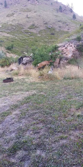 Spring Bar Campground Picture 1