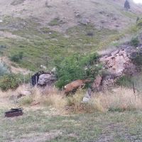 Spring Bar Campground ico