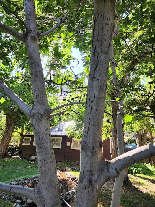 Sheep Creek Ranch Picture 4