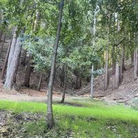 Hidden Falls Girl Scout Camp ico