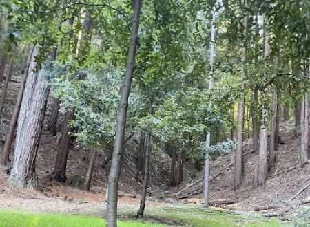 Hidden Falls Girl Scout Camp