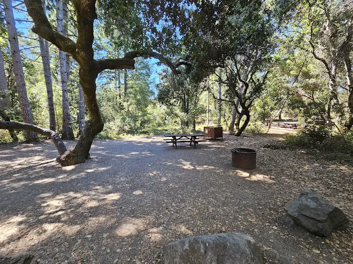 Henry Cowell Redwoods State Park Campground Picture 4