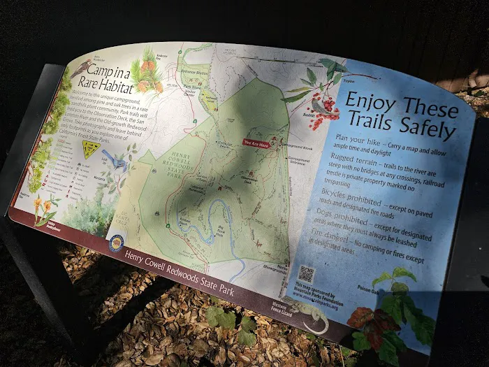 Henry Cowell Redwoods State Park Campground Picture 1