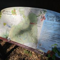 Henry Cowell Redwoods State Park Campground ico