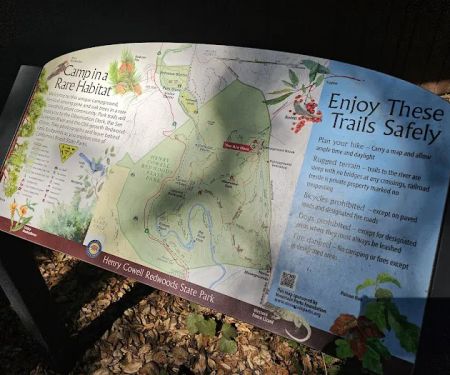 Henry Cowell Redwoods State Park Campground