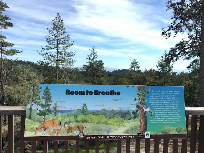 Henry Cowell Redwoods State Park Campground Picture 6