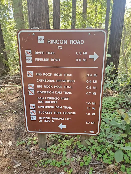 Henry Cowell Redwoods State Park Campground Picture 7