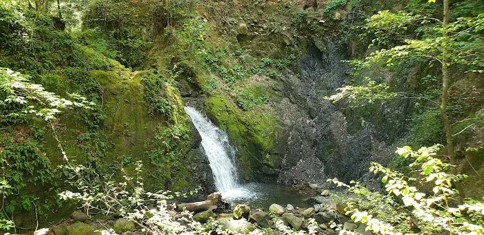Uvas Campground Picture 2