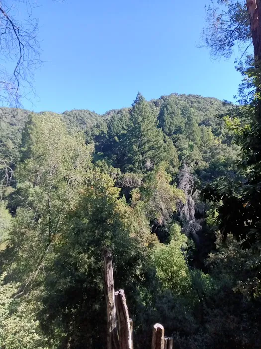Uvas Campground Picture 6