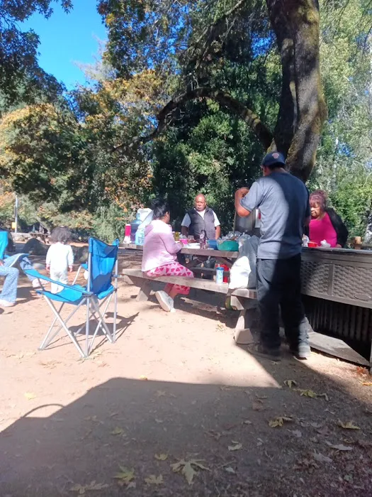 Uvas Campground Picture 7