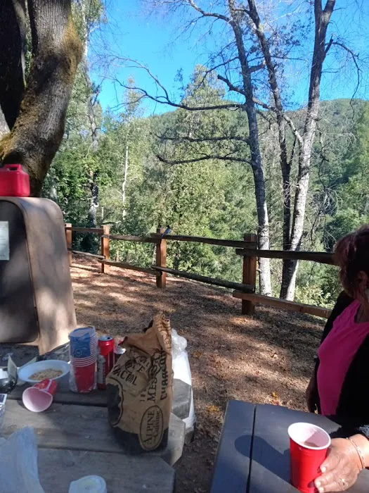Uvas Campground Picture 9