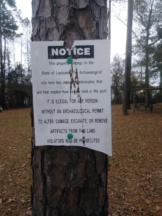 Methodist Landing Recreational Park Picture 3