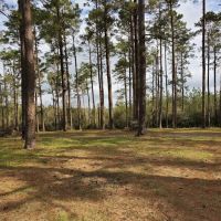 Clear Creek Camp Grounds ico